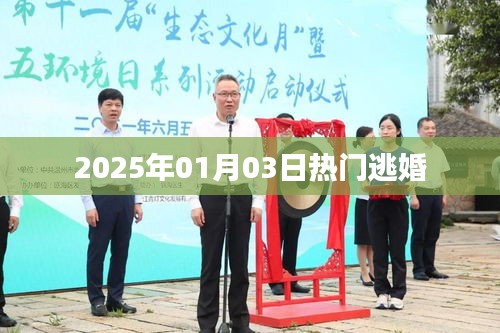『2025年元旦前夕的逃婚热潮』