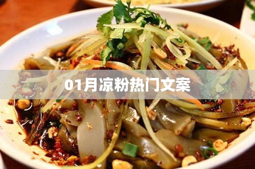 月凉粉，热门文案大赏