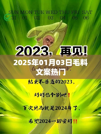 毛料文案流行趋势展望，2025年1月3日热门解析