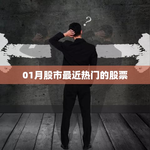 最新热门股票动态，股市热门股票解析