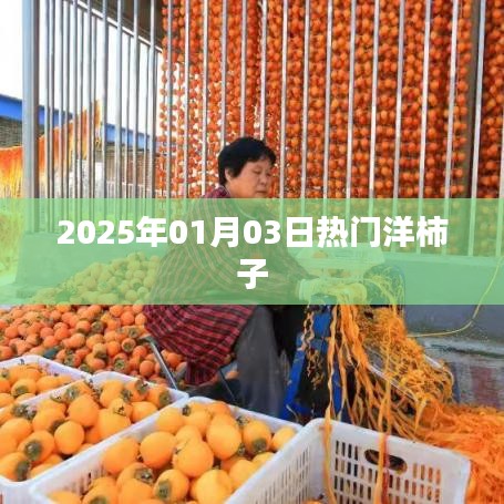 洋柿子大热，揭秘2025年1月3日流行趋势