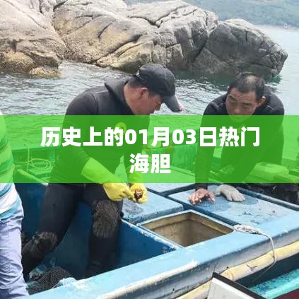 热门海胆，历史上的那些日子——一月三日回顾