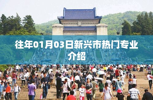 新兴市热门专业介绍（历年趋势分析）
