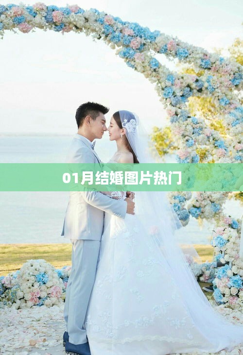 精选结婚图片，一月浪漫瞬间回顾