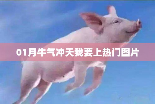 牛气冲天！热门图片来袭！
