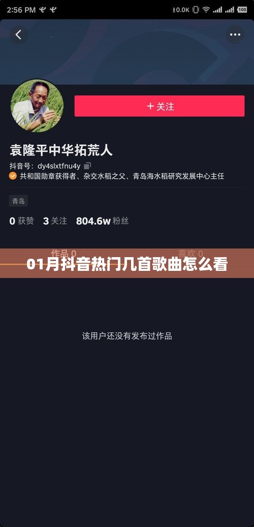 抖音一月热门歌曲榜单查看指南