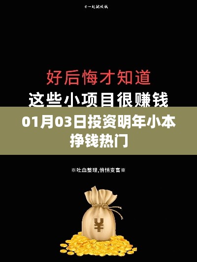 投资热门小本挣钱策略，新年新机遇