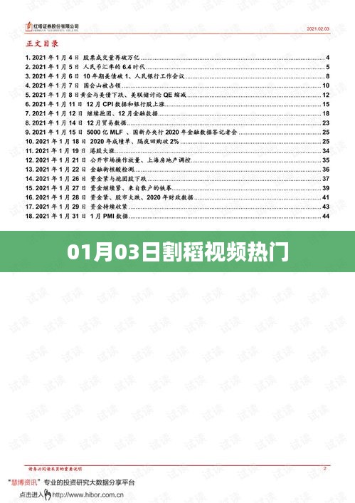热门割稻视频，01月03日实拍