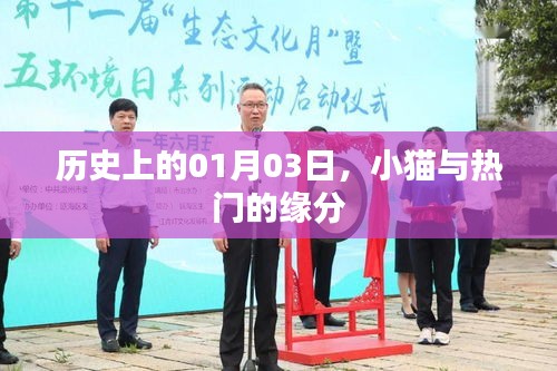 小猫与热门缘分的特殊日期，历史上的01月03日