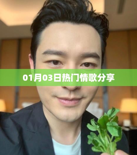 精选情歌分享，流行热曲盘点