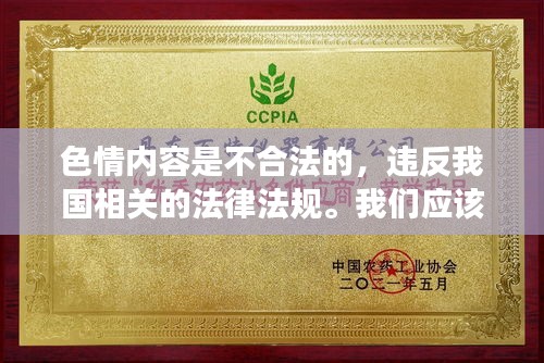 遵守法律远离色情，正规娱乐助成长。