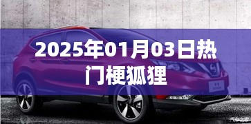 2025年元旦狐狸梗，最新流行热点一网打尽！