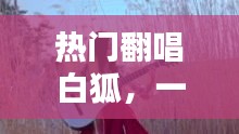 热门翻唱白狐，跨越时空的经典演绎