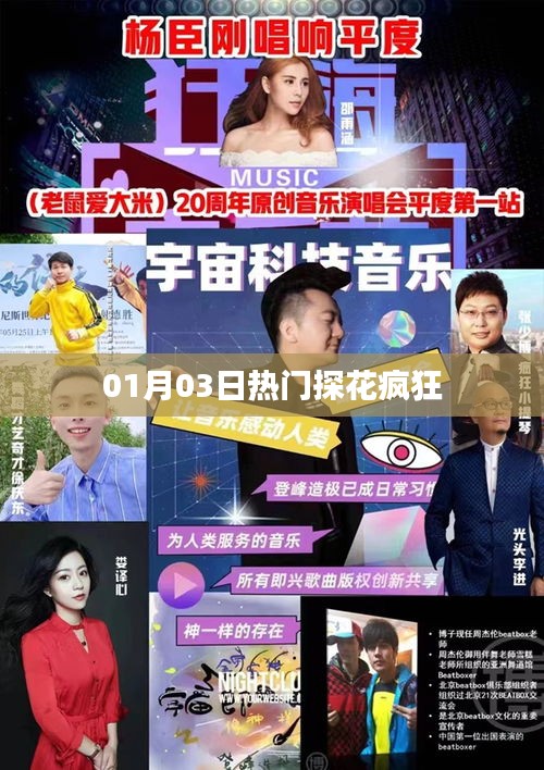 探花热潮来袭，最新热门探花动态一网打尽！