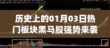 热门板块黑马股强势来袭，历史一月三日回顾