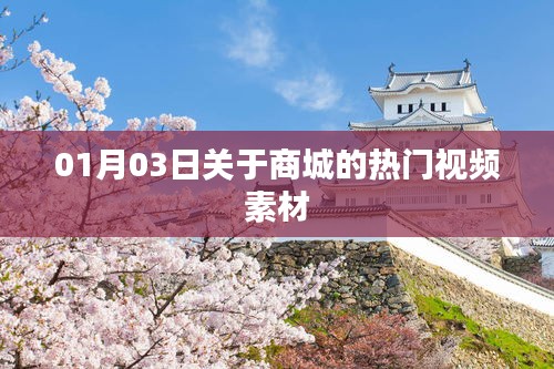 商城热门视频素材精选，每日更新看不停