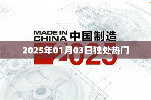 2025年独处热门趋势，享受孤独的艺术
