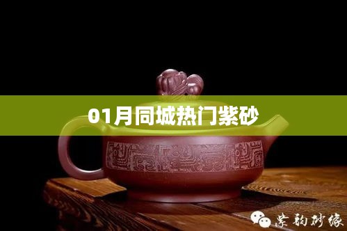 01月同城紫砂热点聚焦