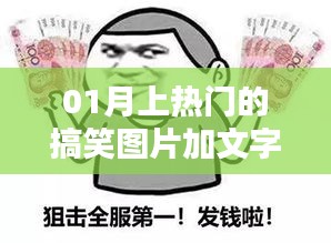 热门搞笑图片合集，文字乐趣无限