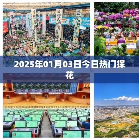 探秘热门话题，今日热门探花，揭秘背后的故事