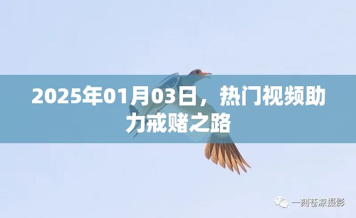 热门视频助力戒赌之路，2025年1月3日
