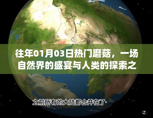 自然界盛宴与探索之旅，历年一月三日热门磨菇回顾