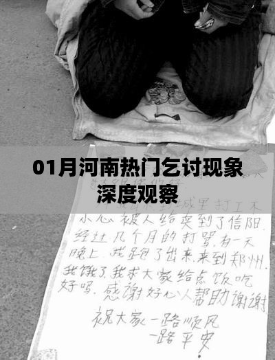 河南热门乞讨现象深度观察分析