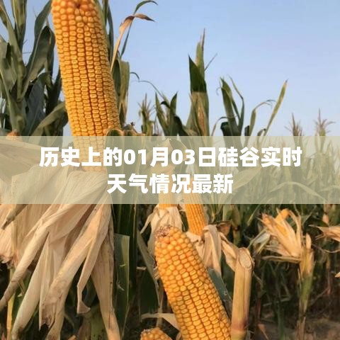 历史上的今日，硅谷天气实时更新，一月三日天气情况一览