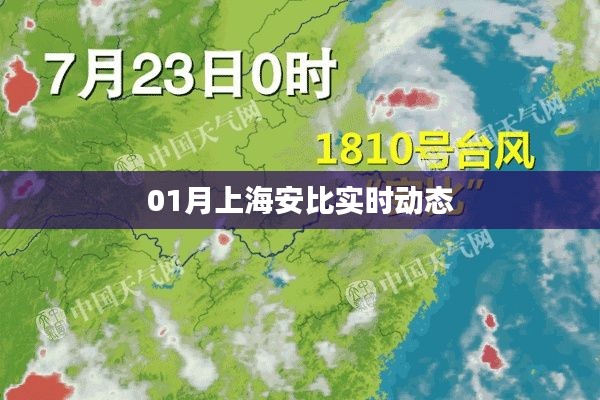 上海安比实时动态概览