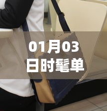 时尚单肩包热门品牌推荐（日期，01月03日）