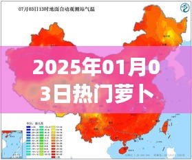 新年新气象，萝卜开拔，热门资讯抢先知
