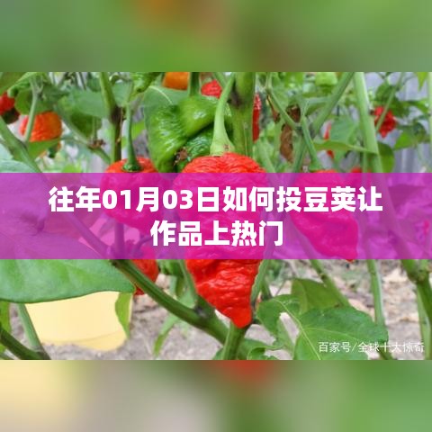 投豆荚策略，助力作品上热门