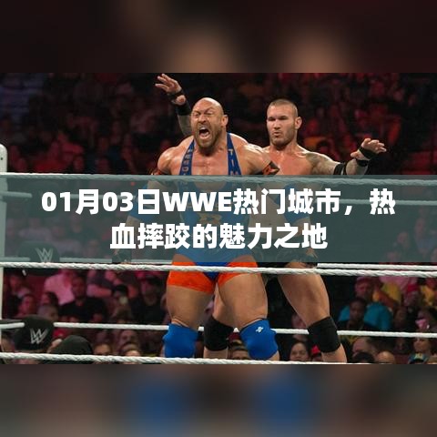 WWE热门城市摔跤魅力之旅，热血摔跤盛宴