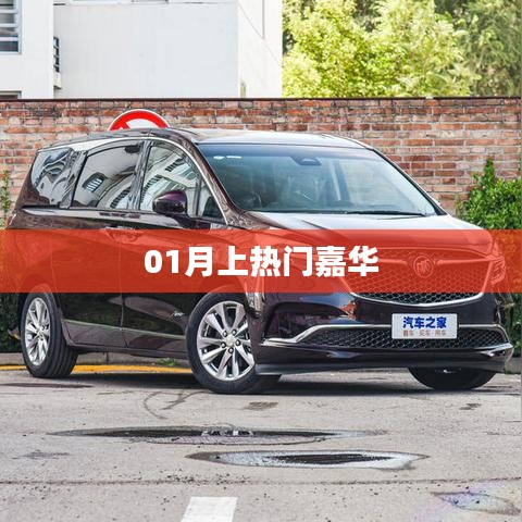 嘉华一月热门时刻回顾