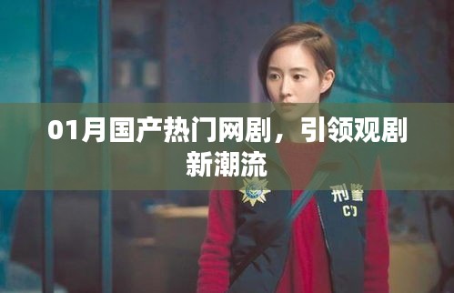 01月国产热门网剧，引领观剧新风尚