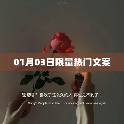 限时热门文案大放送，01月03日独家呈现