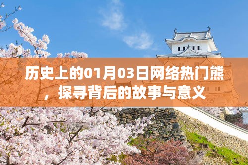 网络热门熊背后的故事与意义探寻，历史上的1月3日揭秘