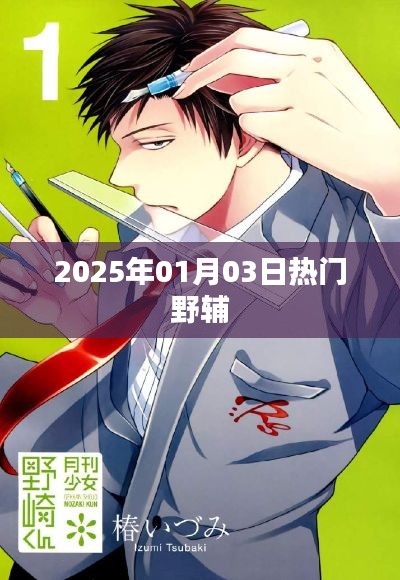 『2025年元旦热门野辅大揭秘』