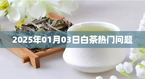 容光焕发 第4页