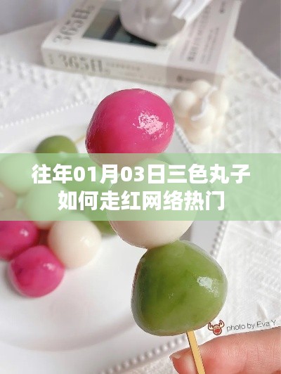 三色丸子走红网络秘诀揭秘，揭秘其背后的故事与趋势