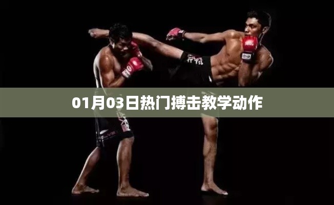 最新搏击教学动作，掌握热门搏击技巧