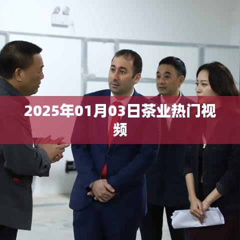 茶业热门视频抢先看，揭秘茶叶背后的故事