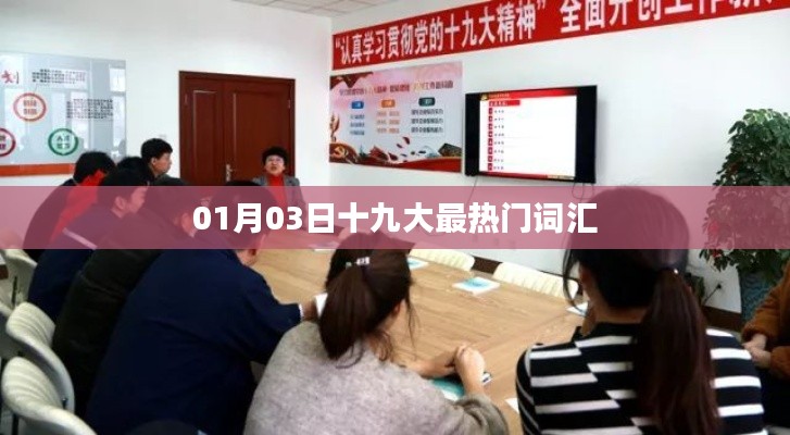 01月03日十九大热门词汇解析