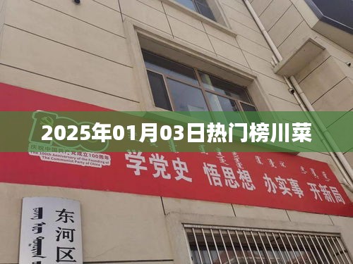 川菜热门榜，2025年1月美食盛宴开启