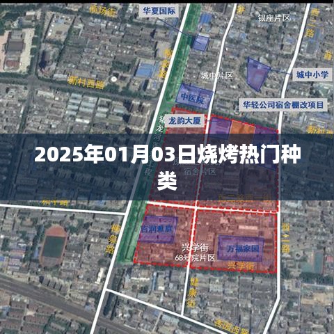 『2025年热门烧烤种类一览』