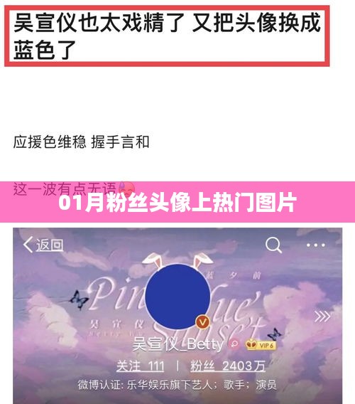 热门粉丝头像大放送，精选一月热门图片