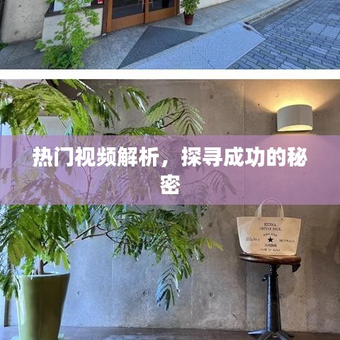热门视频解析揭秘成功秘诀