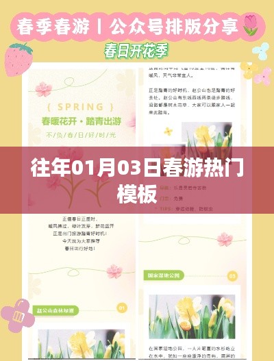 『历年春游攻略模板大揭秘』