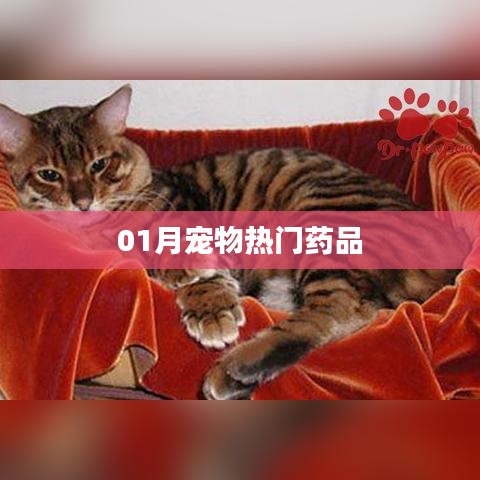 宠物热门药品榜单来袭！一月精选推荐
