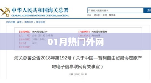 精选全球热门外网资讯，一月不容错过